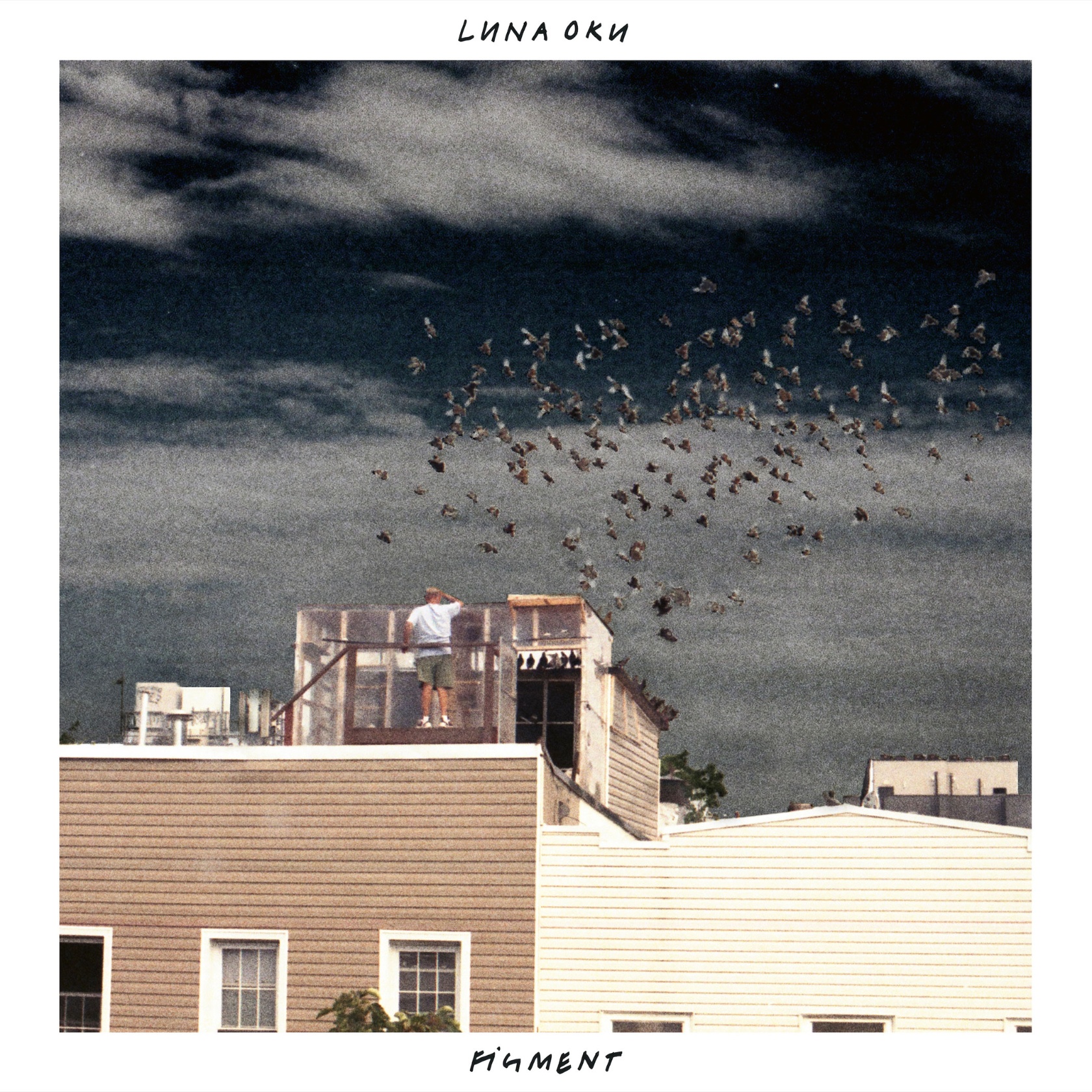 Luna Oku – Figment (Cover)