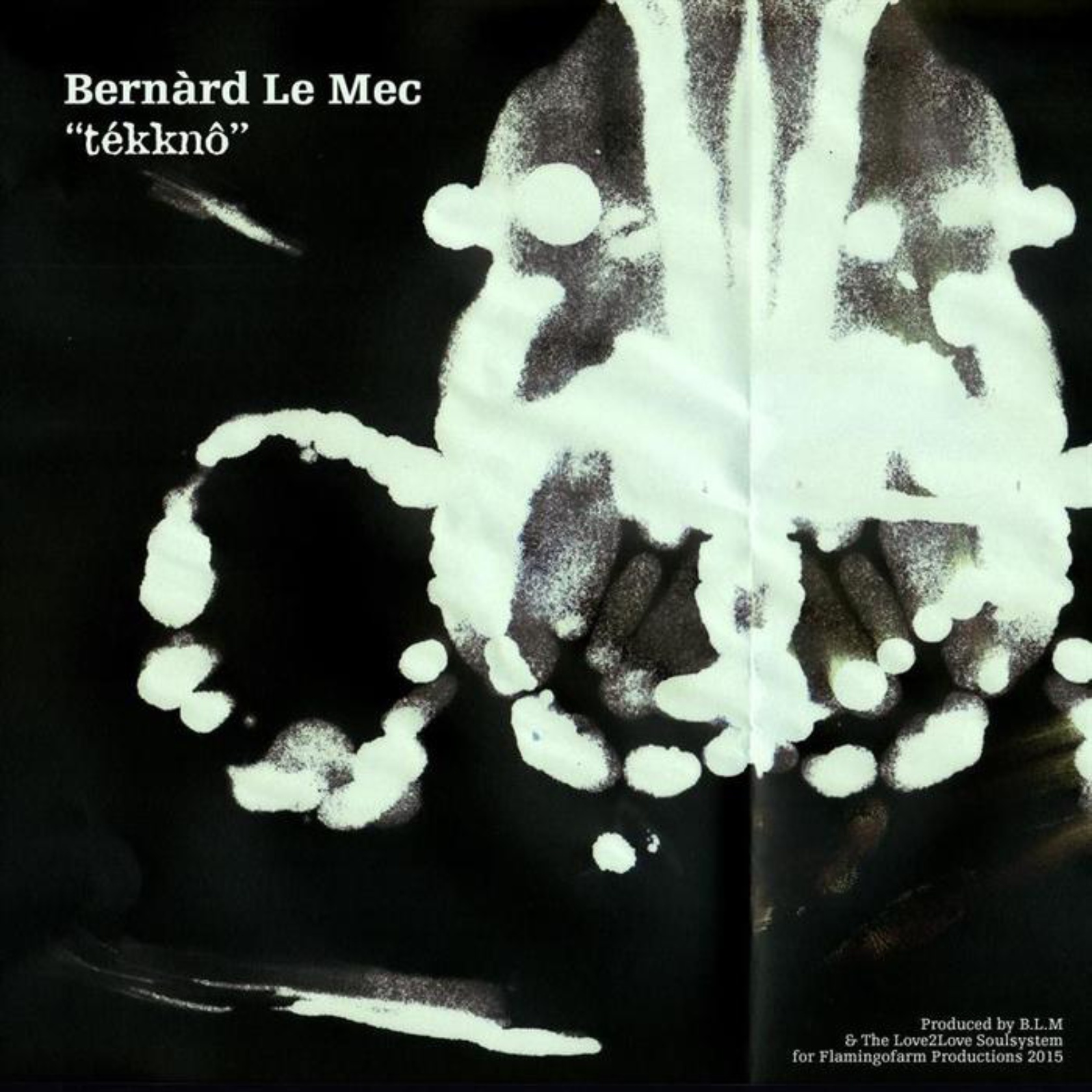 Bernard Le Mec – Tekkno (Cover)