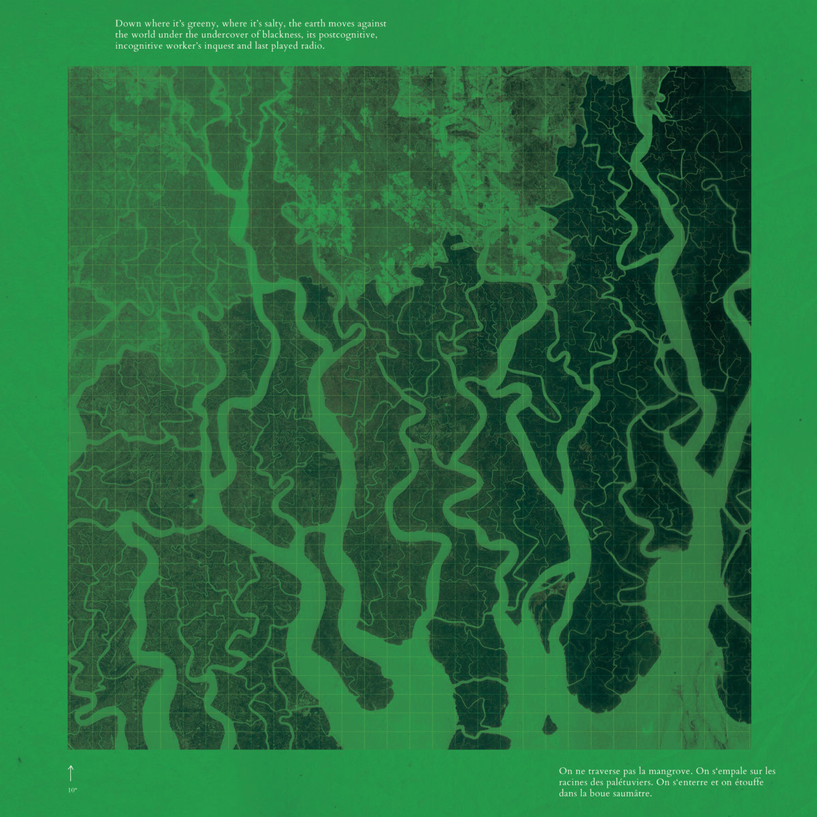 Varuna – Mangrove Management (Cover © eana / Simon Lemont)