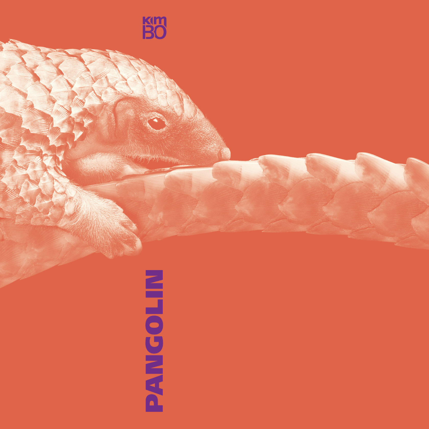 KimBo – Pangolin (Cover)