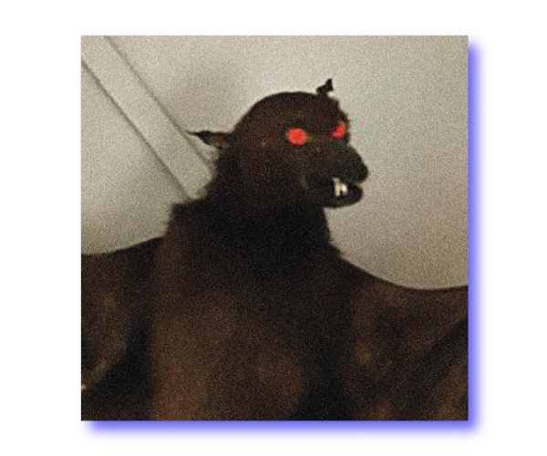 Harvey Rushmore & The Octopus - Mindsuckers: Mit dem Surfbrett durch die Dystopie