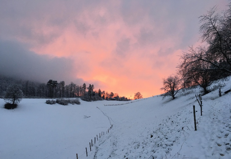 Ob Waldenburg im Dezember 2020 © Mo Zimmerli