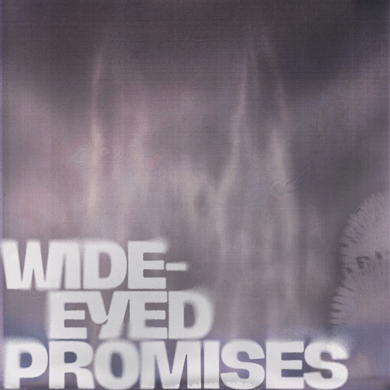 Matthias Gusset - Wide-Eyed Promises, 2025