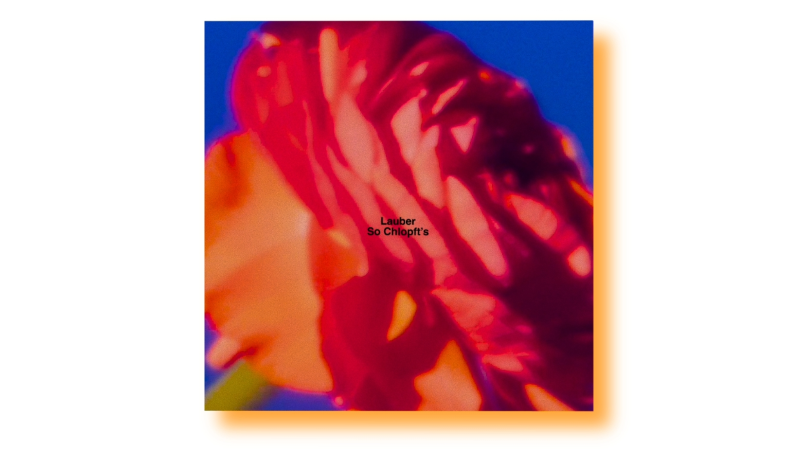 Review Lauber - So Chlopfts